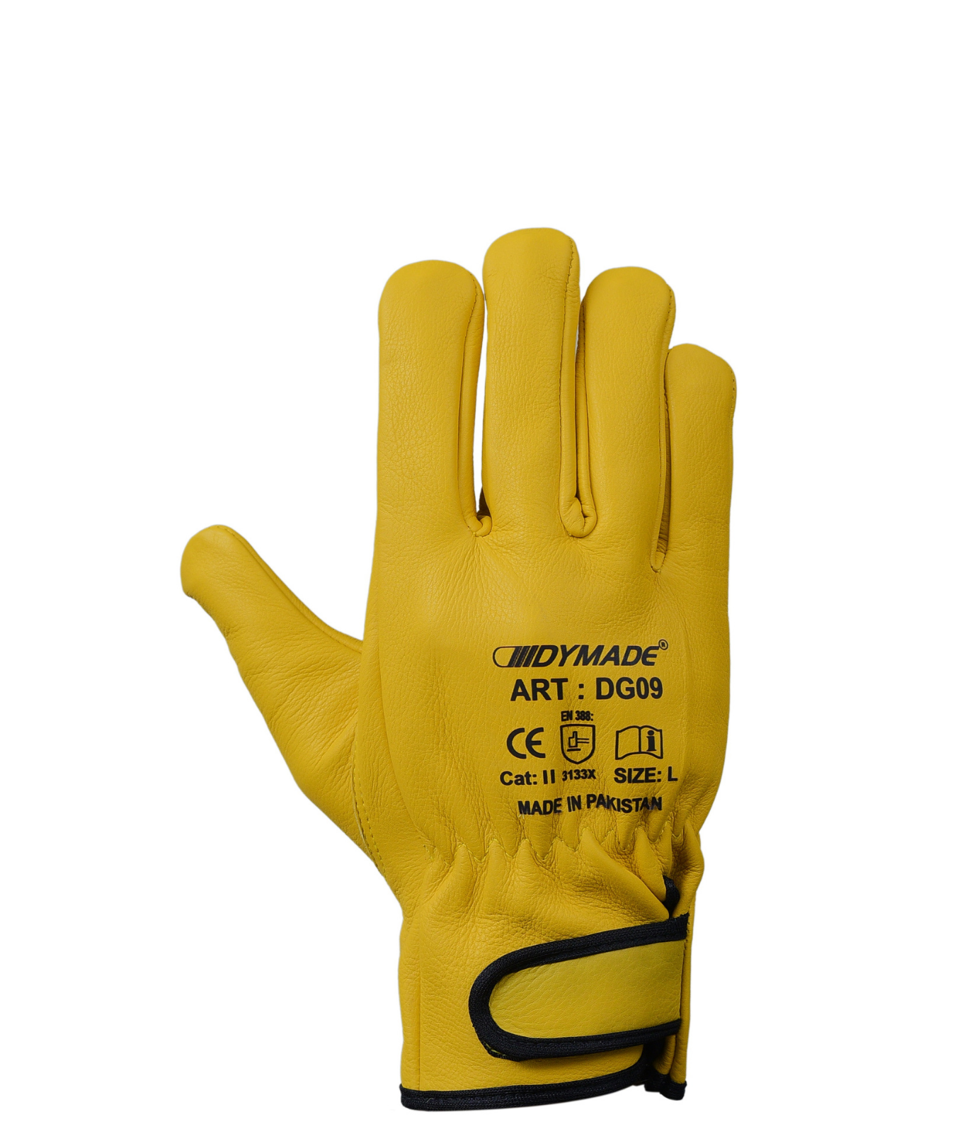 Untitled design - 2025-12-02T145813.027